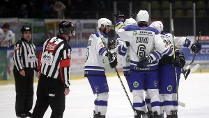 Hokeiści Re-Plastu Unii Oświęcim