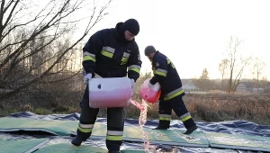 Trzecie ognisko ptasiej grypy w Wielkopolsce