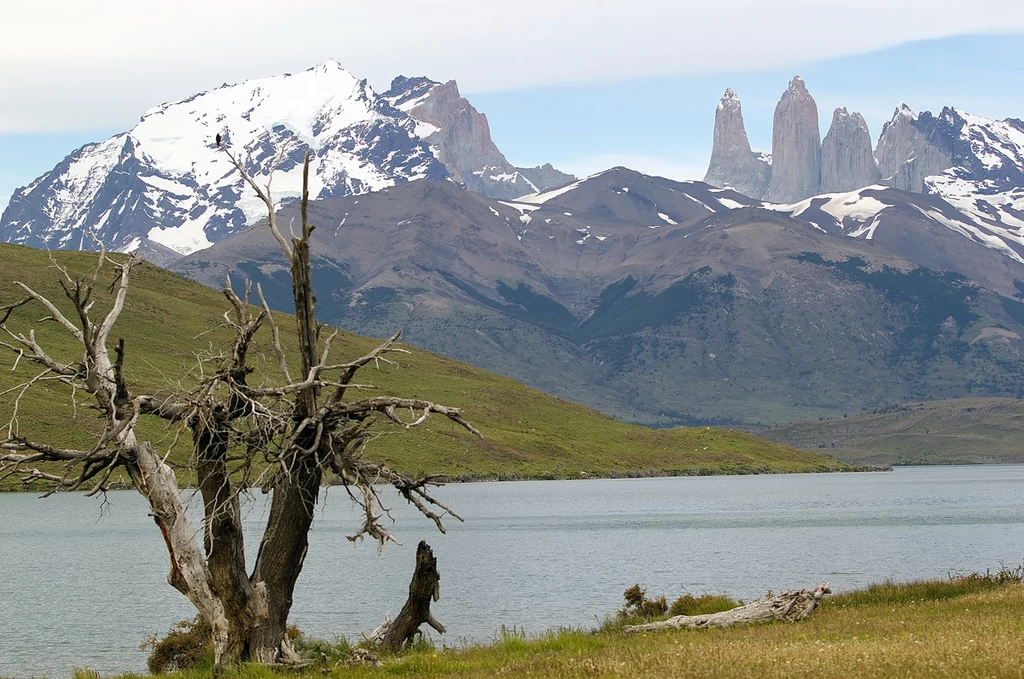 Park Narodowy Torres del Paine od 1978 roku jest wpisany na listę rezerwatów Biosfery UNESCO. Park Narodowy Torres del Paine od 1978 roku jest wpisany na listę rezerwatów Biosfery UNESCO.