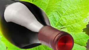 Tego wina ludzie już nie chcą pić?