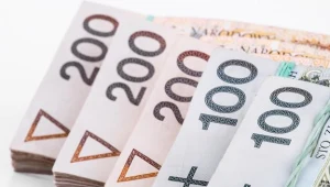 Nawet 6 mld zł może zyskać rząd, opóźniając likwidację otwartych funduszy emerytalnych