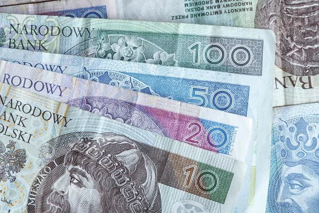 Małe firmy będą zwalniać pracowników z powodu wzrostu płacy minimalnej