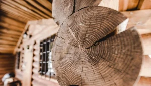 Budowy z bali atrakcyjne cenowo?