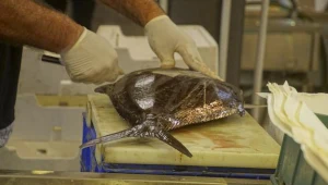 Zdjęcie ilustracyjne