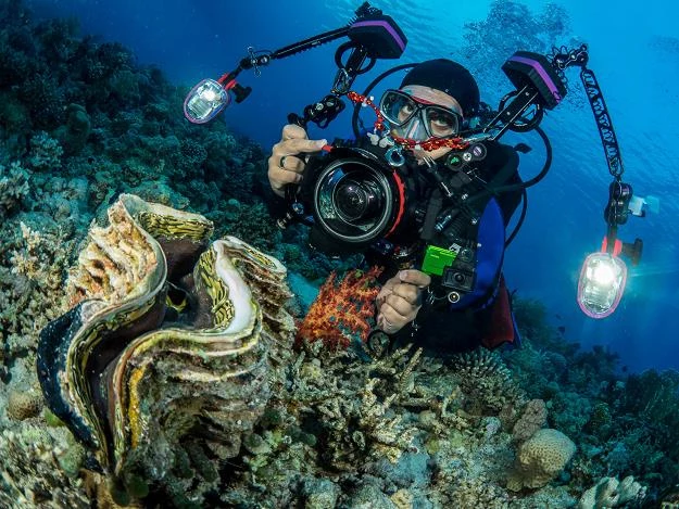 Jak wybrać odpowiedni aparat fotograficzny? Nz. Przemysław Jakubczyk Jak wybrać odpowiedni aparat fotograficzny? Nz. Przemysław Jakubczyk