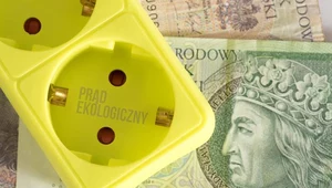 Pod koniec roku zagraniczne elektrownie zaspokajały 19 proc. zapotrzebowania na moc