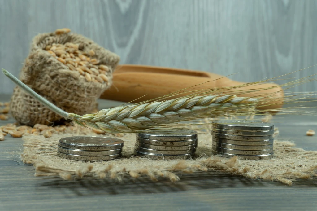 Jak zapobiec kryzysowi żywnościowemu? Zdj. ilustracyjne