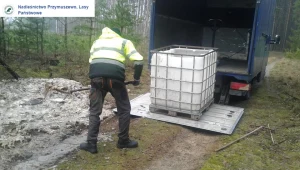 Pomorskie: Setki kilogramów martwych ryb w lesie