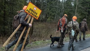 Polowanie, zdjęcie ilustracyjne.