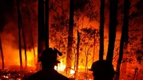 Irwinowie nie pozostali obojętni wobec tragedii, która ostatnio wstrząsnęła australijską przyrodą. Szacuje się, że w gigantycznych pożarach ucierpiało dotąd około pół miliarda dzikich zwierząt, a niektórym gatunkom grozi całkowite wyginięcie! Działający przy ich ogrodzie zoologicznym weterynaryjny szpital w ostatnich miesiącach przeżywa prawdziwe oblężenie.