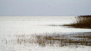 Butelkę złowiono w wodach Zalewu Wiślanego