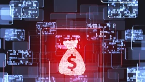 Na banki spadła cała lawina ryzyk