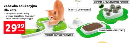 Zabawka edukacyjna dla kota