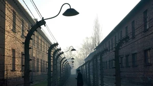 Odkryto zapomnianą część KL Auschwitz-Birkenau. Ogromne znalezisko