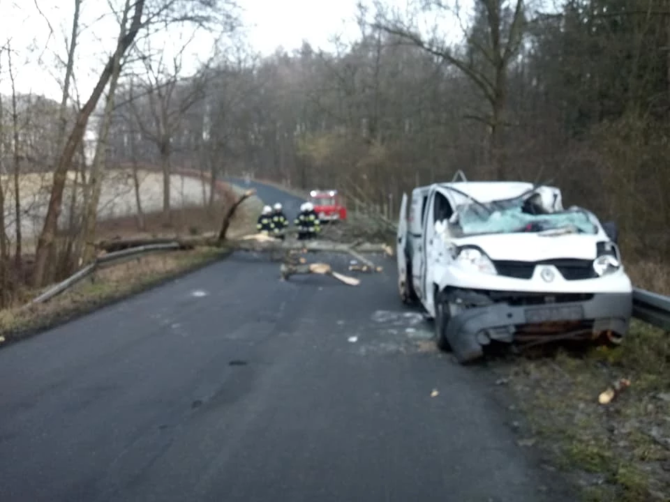 Fot: Straż pożarna