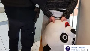 Tatrzańscy policjanci zatrzymali młodego mężczyznę, który w przebraniu pandy zachowywał się agresywnie wobec turystów na Krupówkach w Zakopanem.