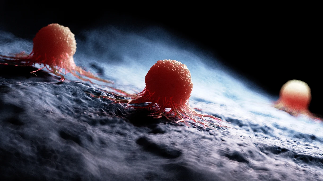 Naddiagnoza nowotworów jest równie szkodliwa, co jej brak Naddiagnoza nowotworów jest równie szkodliwa, co jej brak