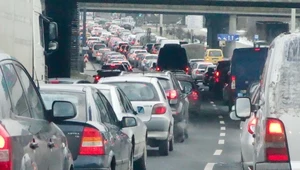 Polskie miasta nie robią nic, by rozładować dławiące je korki. Raczej wprost przeciwnie...