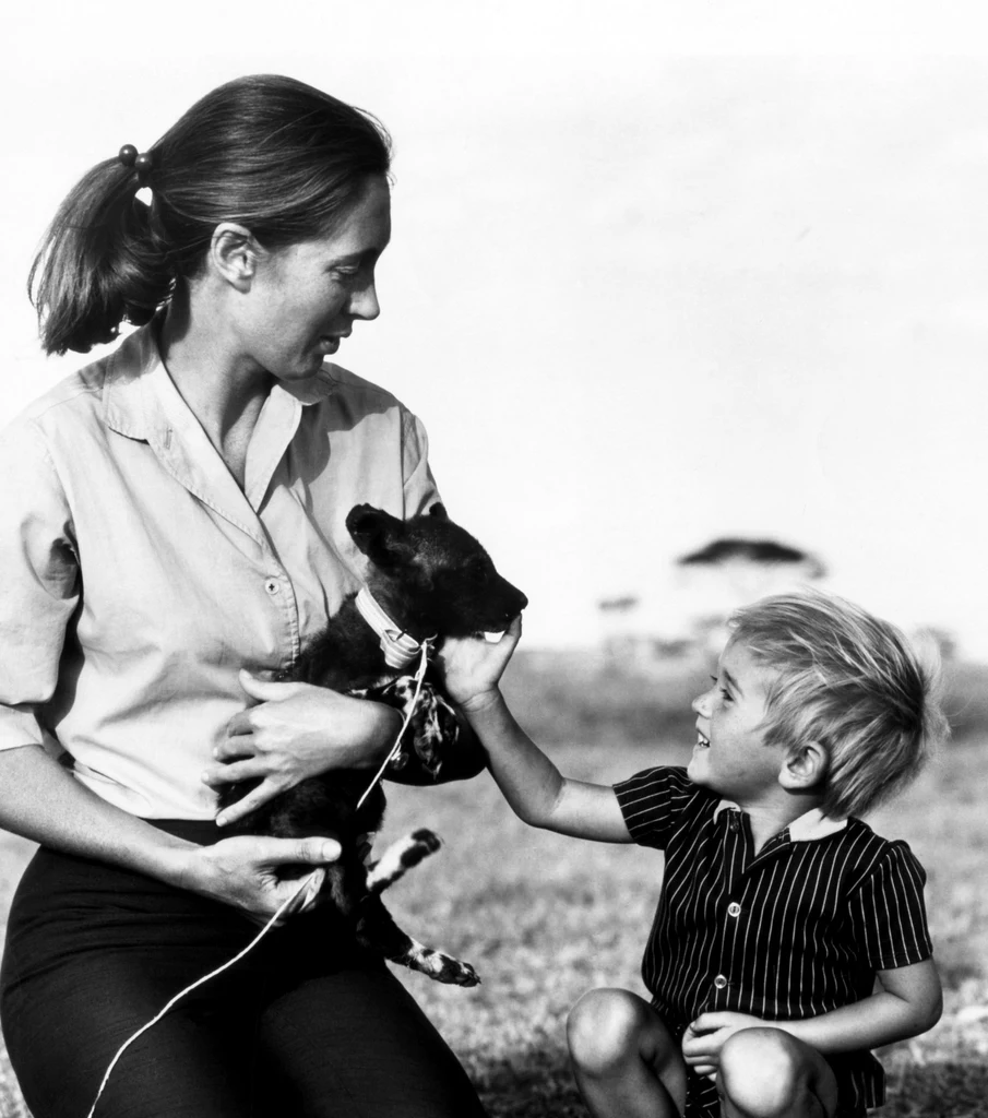 Jane Goodall z synkiem w 1976 roku