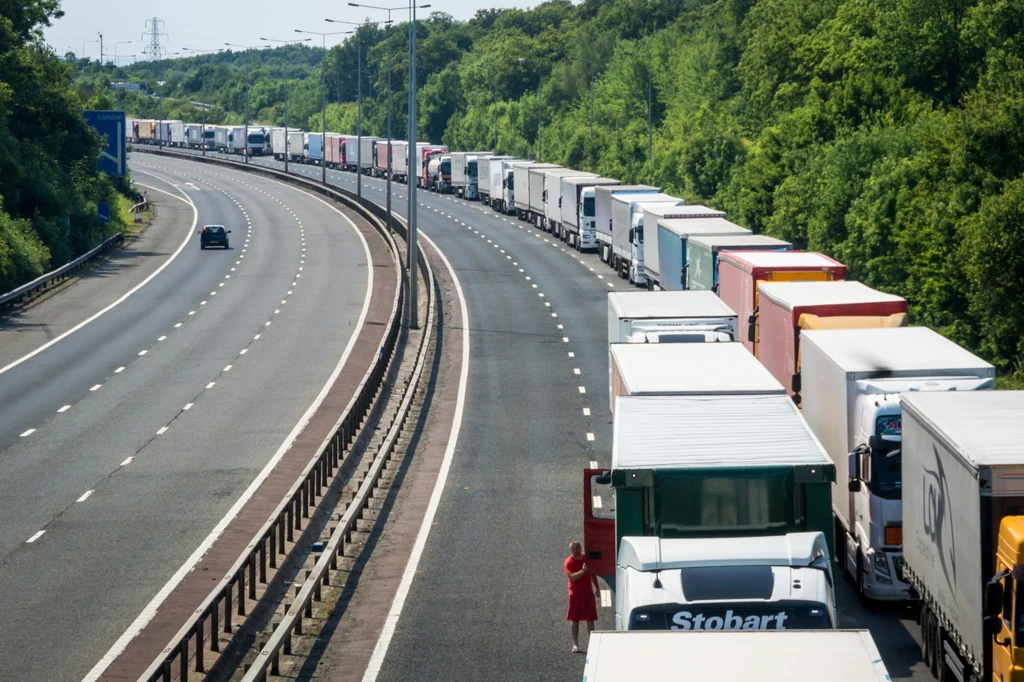 Tiry czekające w kolejce Fałszywe proroctwa brexitu: Tiry z rozmrażającą się żywnością, karawany samochodów...