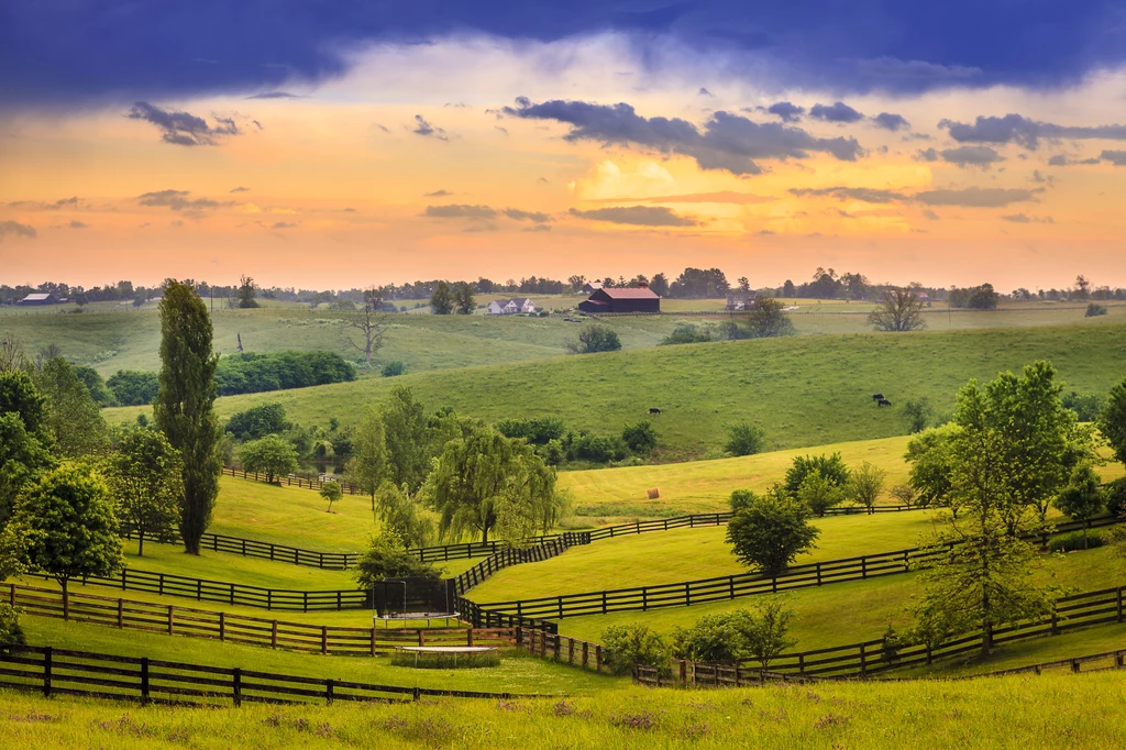 Malownicze Kentucky  nie kojarzy się z prehistorycznymi rekinami