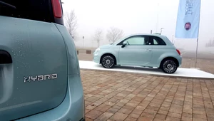 Fiat 500 i Panda Hybrid - ile w nich ekologii?