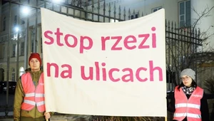 Pikieta pod hasłem "Piesi chcą żyć" po wypadku na Sokratesa w Warszawie. Okazuje się, że nie ma żadnej rzezi, a piesi mogą żyć, jeśli zachowają odrobinę uwagi