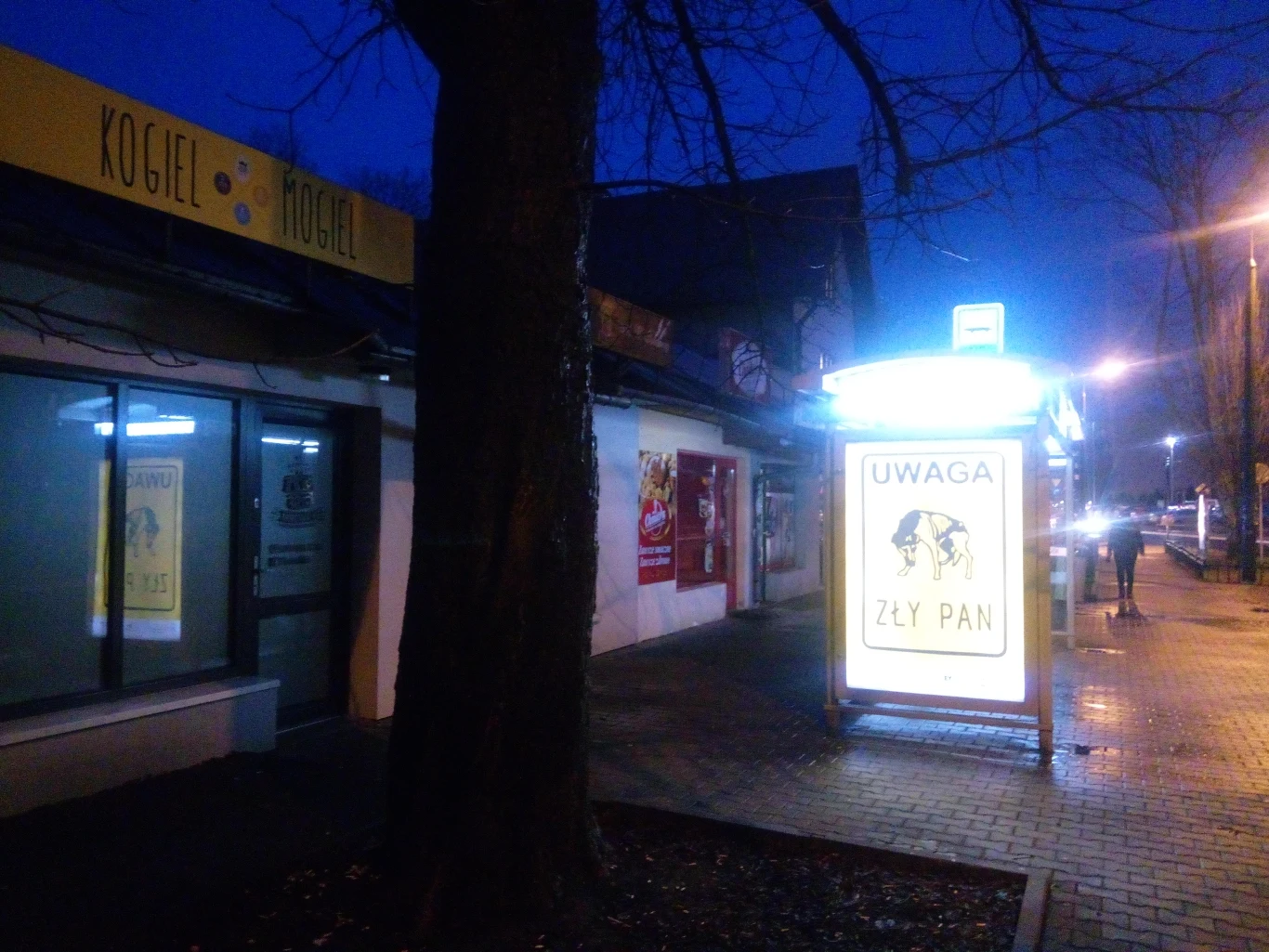 Zdjęcie wykonane Hammerem Energy 2 Zdjęcie wykonane Hammerem Energy 2