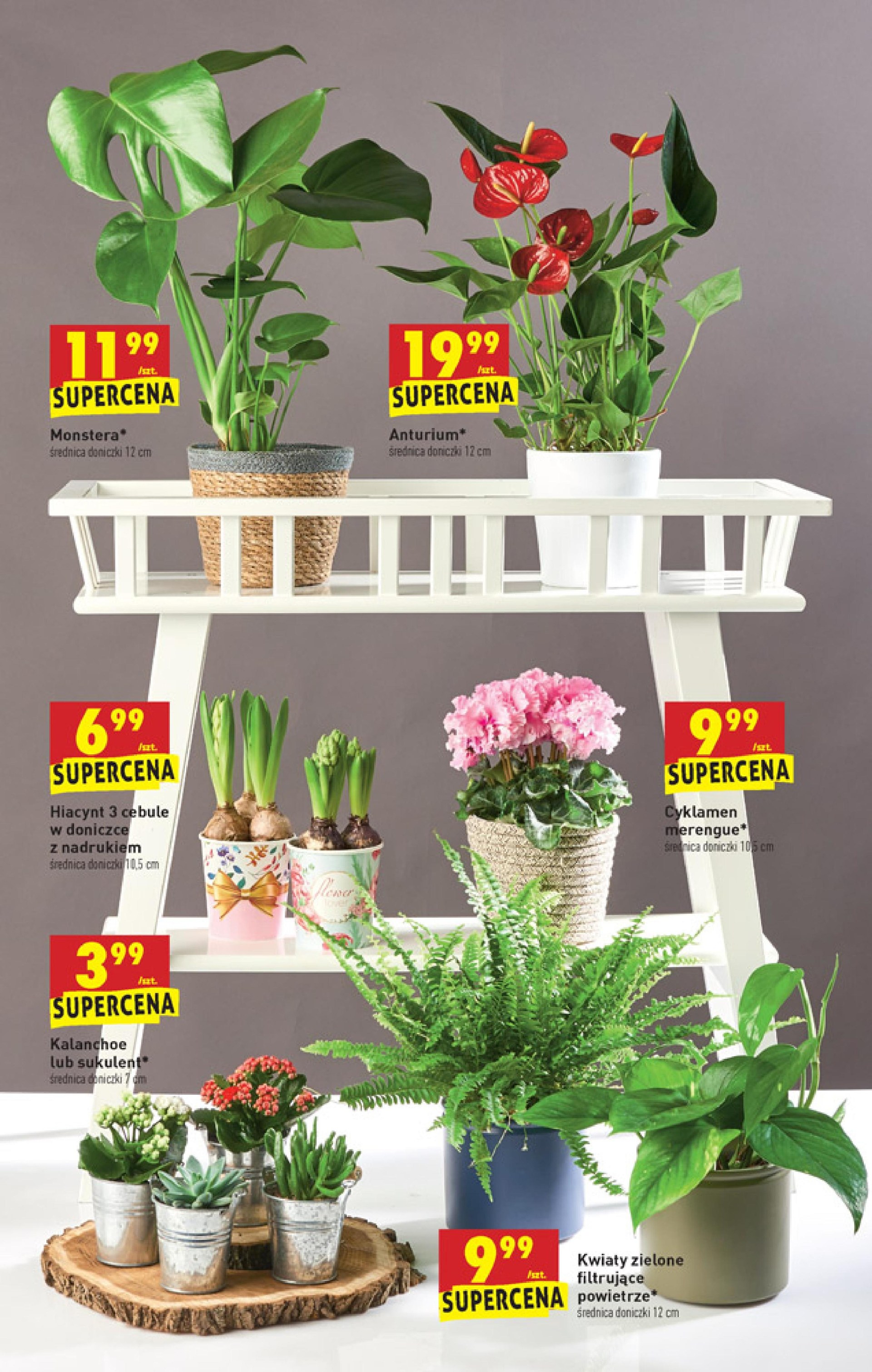 Biedronka Gazetka promocyjna 6-12.02 | Okazjum.pl