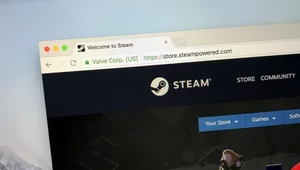 Steam