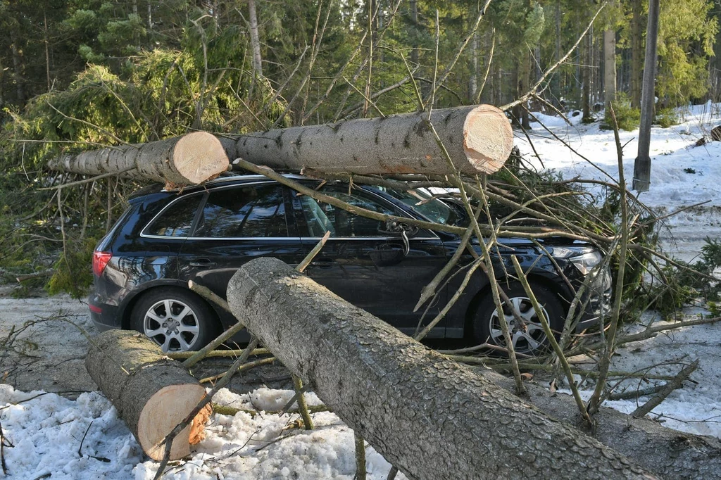 Kościelisko. Drzewo spadło na samochód