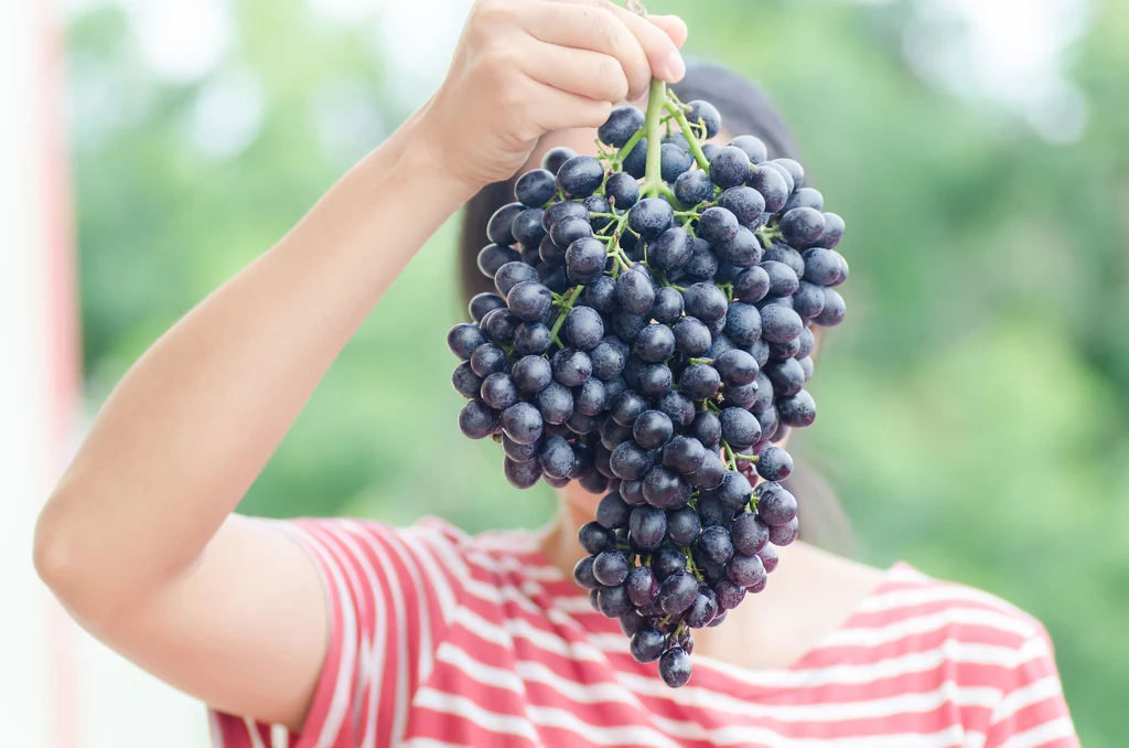 Winogrona - 67 kcal/100 g Mimo że zawierają cztery razy mniej kalorii niż rodzynki, to nadal plasują się w ścisłej czołówce tuczących owoców. Ich właściwości zdrowotne są doceniane od tysięcy lat. Są skarbnicą witamin i składników mineralnych. Chronią przed wieloma chorobami cywilizacyjnymi. Należą do nielicznych owoców zawierających jod, który jest niezbędny do prawidłowego funkcjonowania tarczycy. Zawierają wiele naturalnych przeciwutleniaczy, takich jak witaminy A i C oraz flawonoidy. Wymiatają one z organizmu wolne rodniki, które są m.in. odpowiedzialne za rozwój chorób nowotworowych. Winogrona - 67 kcal/100 g Mimo że zawierają cztery razy mniej kalorii niż rodzynki, to nadal plasują się w ścisłej czołówce tuczących owoców. Ich właściwości zdrowotne są doceniane od tysięcy lat. Są skarbnicą witamin i składników mineralnych. Chronią przed wieloma chorobami cywilizacyjnymi. Należą do nielicznych owoców zawierających jod, który jest niezbędny do prawidłowego funkcjonowania tarczycy. Zawierają wiele naturalnych przeciwutleniaczy, takich jak witaminy A i C oraz flawonoidy. Wymiatają one z organizmu wolne rodniki, które są m.in. odpowiedzialne za rozwój chorób nowotworowych.