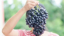 Winogrona - 67 kcal/100 g 

Mimo że zawierają cztery razy mniej kalorii niż rodzynki, to nadal plasują się w ścisłej czołówce tuczących owoców. Ich właściwości zdrowotne są doceniane od tysięcy lat. Są skarbnicą witamin i składników mineralnych. Chronią przed wieloma chorobami cywilizacyjnymi. Należą do nielicznych owoców zawierających jod, który jest niezbędny do prawidłowego funkcjonowania tarczycy. Zawierają wiele naturalnych przeciwutleniaczy, takich jak witaminy A i C oraz flawonoidy. Wymiatają one z organizmu wolne rodniki, które są m.in. odpowiedzialne za rozwój chorób nowotworowych.
