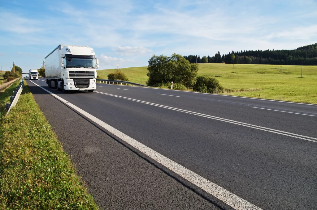 W 2019 roku istotny wzrost postanowień o upadłości miał miejsce w branży transportowej (o 30 proc.)