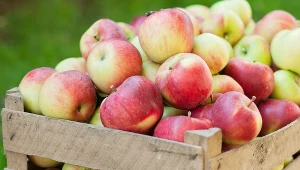 Zdjęcie ilustracyjne