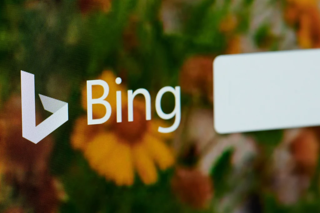 Bing od Microsoftu ma 100 milionów użytkowników.