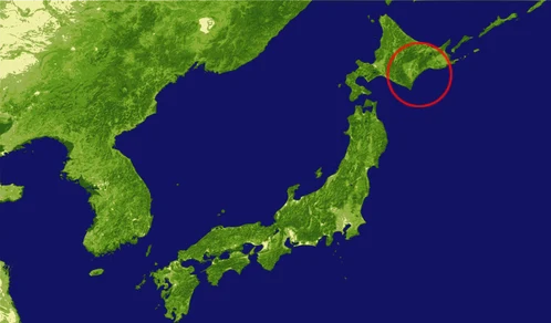 „Lodowe klejnoty” można zobaczyć tylko na plaży Otsu na północnej wyspie Hokkaido i jedynie w najzimniejsze dni na przełomie stycznia i lutego.