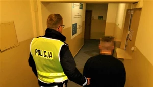 Policija zatrzymała złodziei samochodów