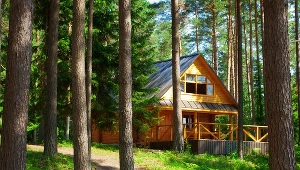 Co można zbudować na działce rekreacyjnej?