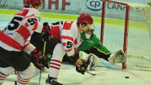 Hokeiści Comarch Cracovii