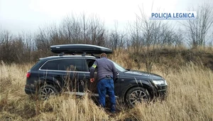 Auto z zapalonym silnikiem stało na łące