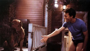 Toma Hanksa zastąpi w roli Turnera Josh Peck