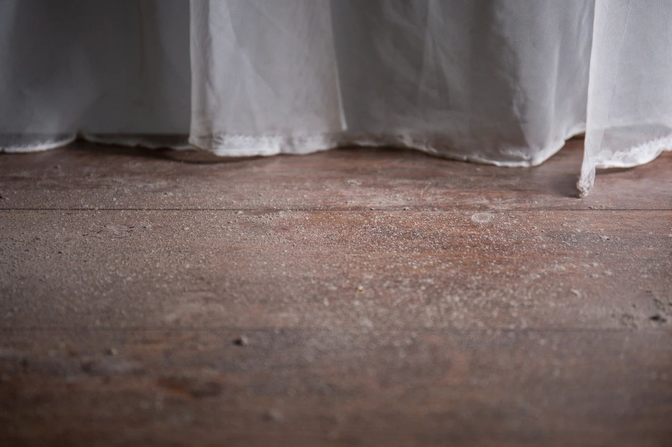 Kurz może osiadać na różnych powierzchniach