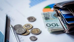 Płaca minimalna wzrośnie od stycznia 2025 o 249,39 zł netto.