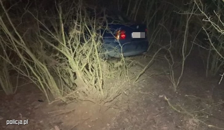 Auto ugrzęzło w zaroślach Auto ugrzęzło w zaroślach