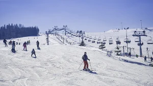 Stok narciarski, zdjęcie ilustracyjne