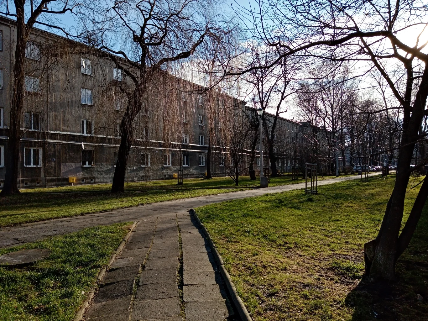 Huawei Y6s - przykładowe zdjęcie