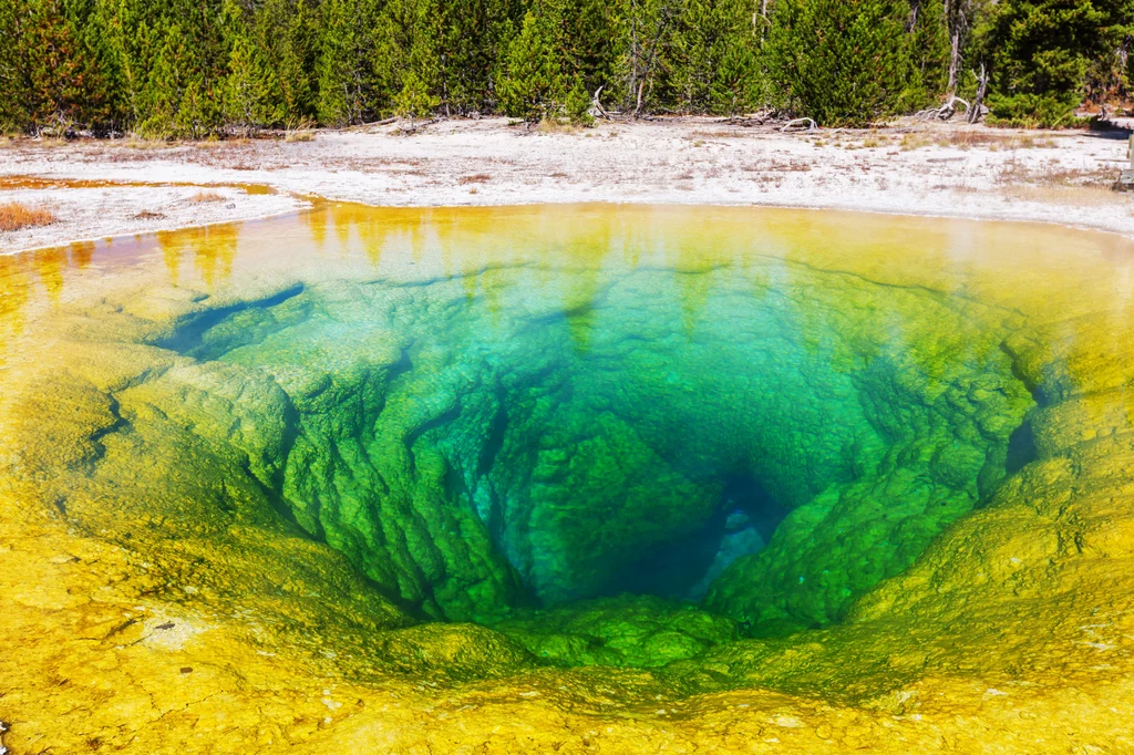 Woda w zbiornikach ma temperaturę 70 °C. Mimo że źródła są ze względu na swoją budowę geologiczną gejzerami, to samoczynny wybuch zanotowano do tej pory tylko raz. W 1944 roku woda została wyrzucona na wysokość ponad 12 metrów. Woda w zbiornikach ma temperaturę 70 °C. Mimo że źródła są ze względu na swoją budowę geologiczną gejzerami, to samoczynny wybuch zanotowano do tej pory tylko raz. W 1944 roku woda została wyrzucona na wysokość ponad 12 metrów.
