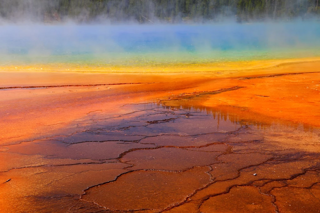 Niestety, wielu turystów odwiedzających Park Yellowstone zanieczyszcza te piękne źródła, wrzucając do środka śmieci, a nawet monety. Ilość nagromadzonych przez lata odpadów powoduje zatykanie się wylotu gorącej wody oraz rozwoju innych bakterii, przez które gejzery zmieniają swój kolor. Niestety, wielu turystów odwiedzających Park Yellowstone zanieczyszcza te piękne źródła, wrzucając do środka śmieci, a nawet monety. Ilość nagromadzonych przez lata odpadów powoduje zatykanie się wylotu gorącej wody oraz rozwoju innych bakterii, przez które gejzery zmieniają swój kolor.