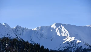 Zdjęcie ilustracyjne